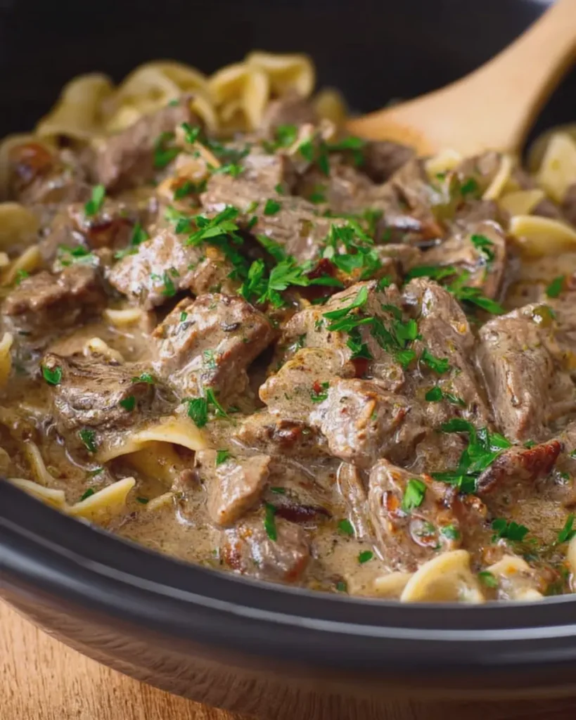 sela Crockpot Beef Stroganoff